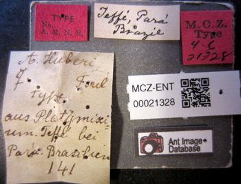 Media type: image;   Entomology 21332 Aspect: labels
